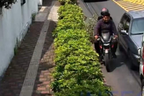 Graban ruta de escape de motoladrones de un bonsái valorado en más de Q22 mil en avenida Las Américas