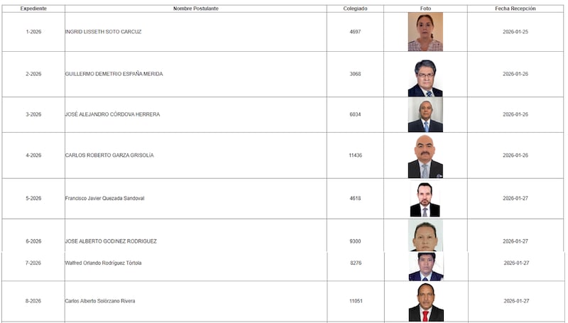 Listado de los candidatos en la postuladora del TSE.