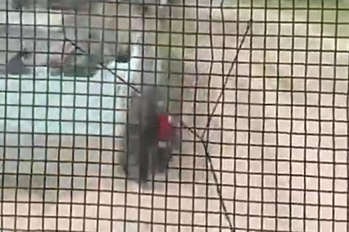 Policía rescata a un niño de tres años en las vías del tren en Argentina