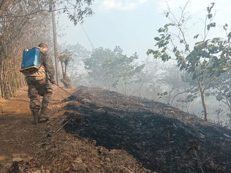 Se reportan más de diez incendios forestales en Petén