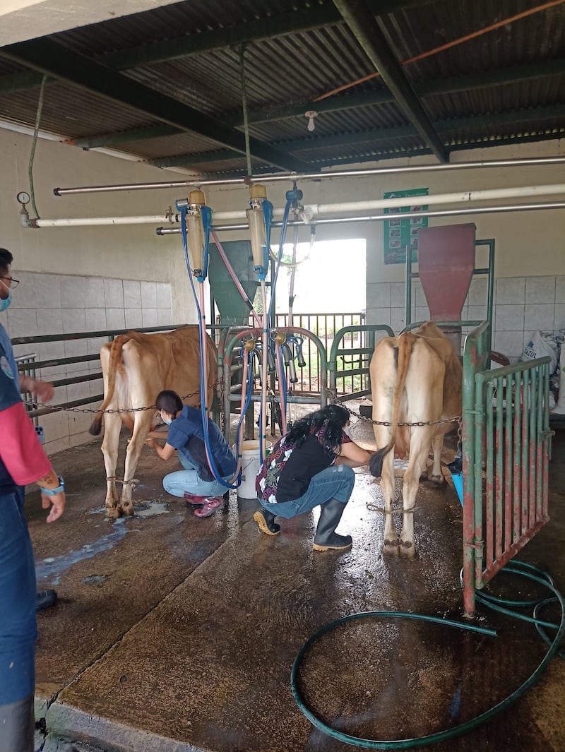 Granja Experimental de la Usac.