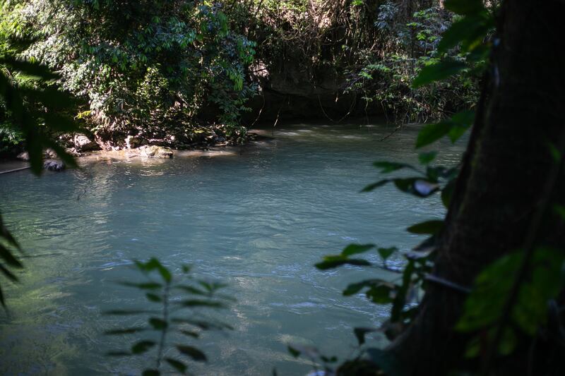 Parque Nacional Grutas de Lanquín. Foto: Conap
