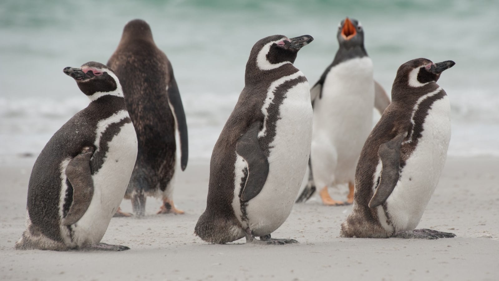 (Foto: Redes sociales)