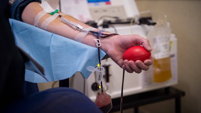 ¡Apúntate! Donación de sangre en la USAC será esta semana