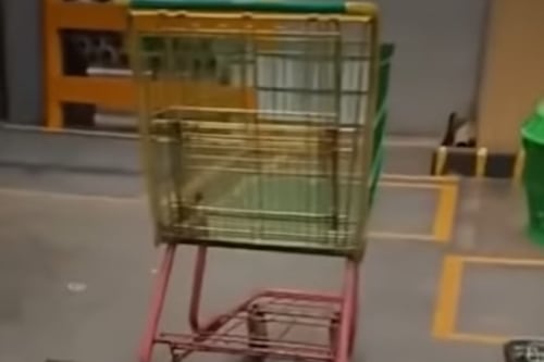 Guardia presencia hecho “paranormal” tras ver carritos moverse solos en México