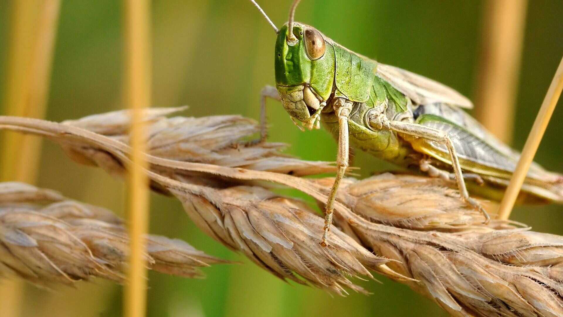 (Foto: Redes sociales)