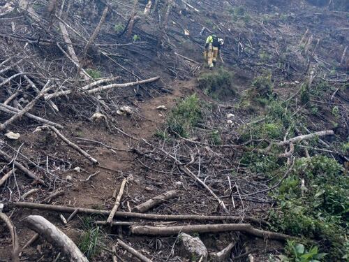Fuerza Aérea vuela sobre Chajul para combatir incendio forestal activo desde el 19 de mayo