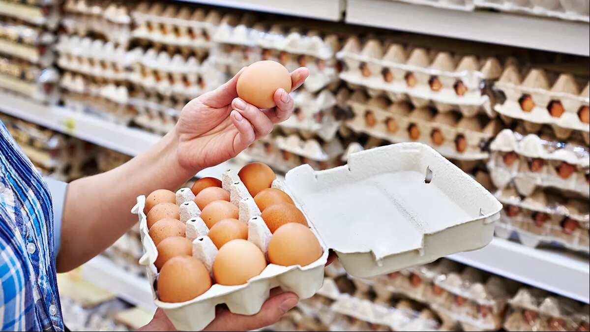Avanza la escasez de huevos en Estados Unidos