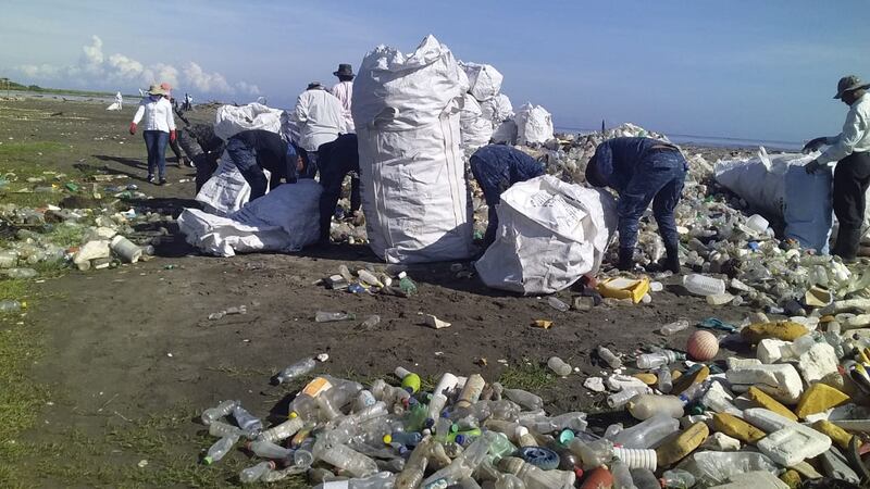 Continúan limpiando la desembocadura del río Motagua