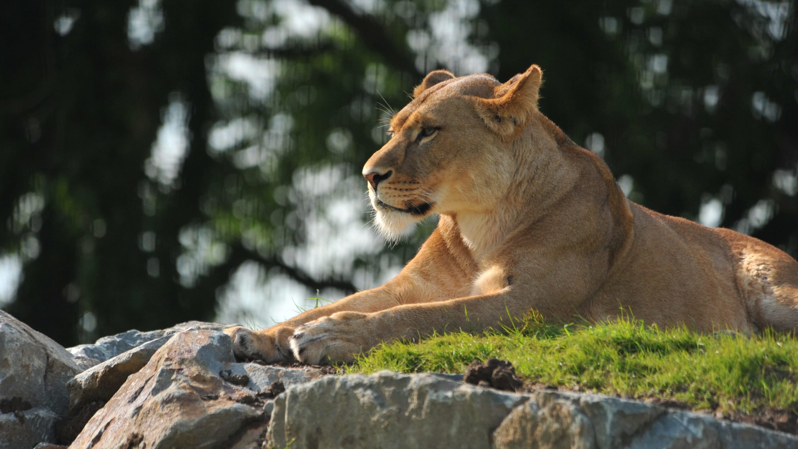 (Foto: Redes sociales)