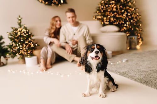 ¡Sonríe para la foto! Estos son los mejores sets navideños para fotos mágicas en Guatemala