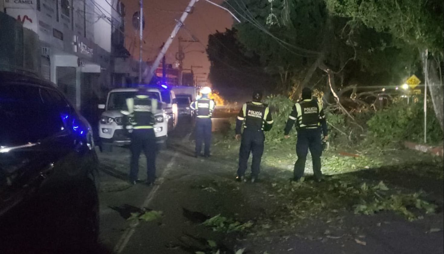 Árbol caído interrumpe servicio eléctrico en zona 11 de la capital