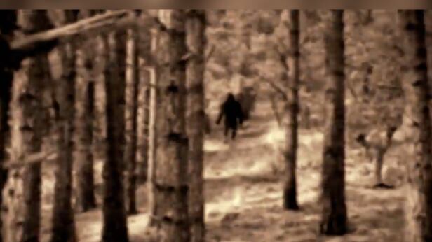 Se registra un nueevo avistamiento de Pie Grande.