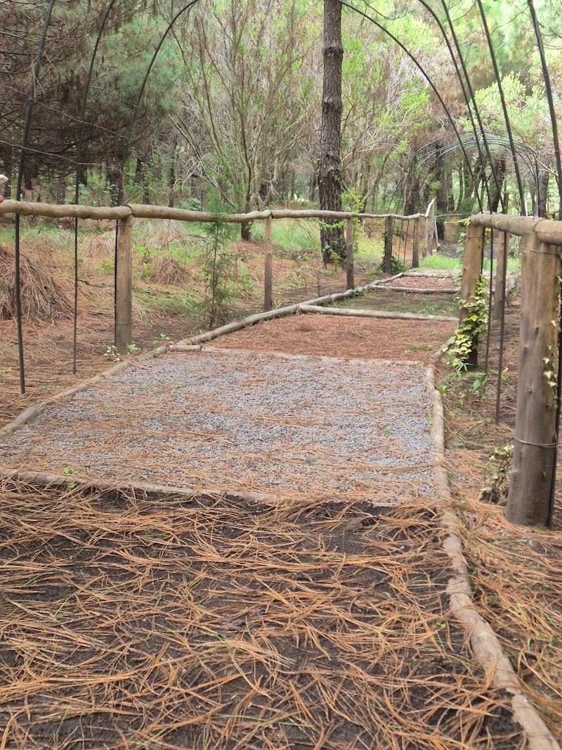 El sendero de los sentidos te brinda una experiencia que te hace reflexionar sobre la vida. Foto: Roxana Tocay