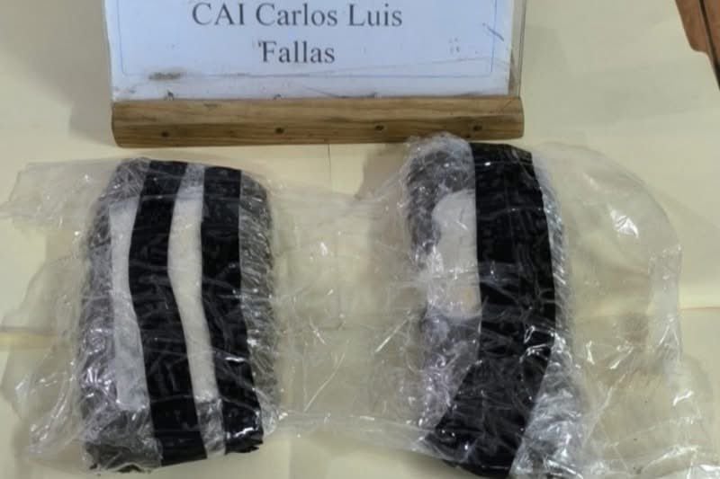 La policía en Costa Rica capturó a un felino que llevaba marihuana, crack y pastillas pegadas al cuerpo para ingresarlas a una cárcel.