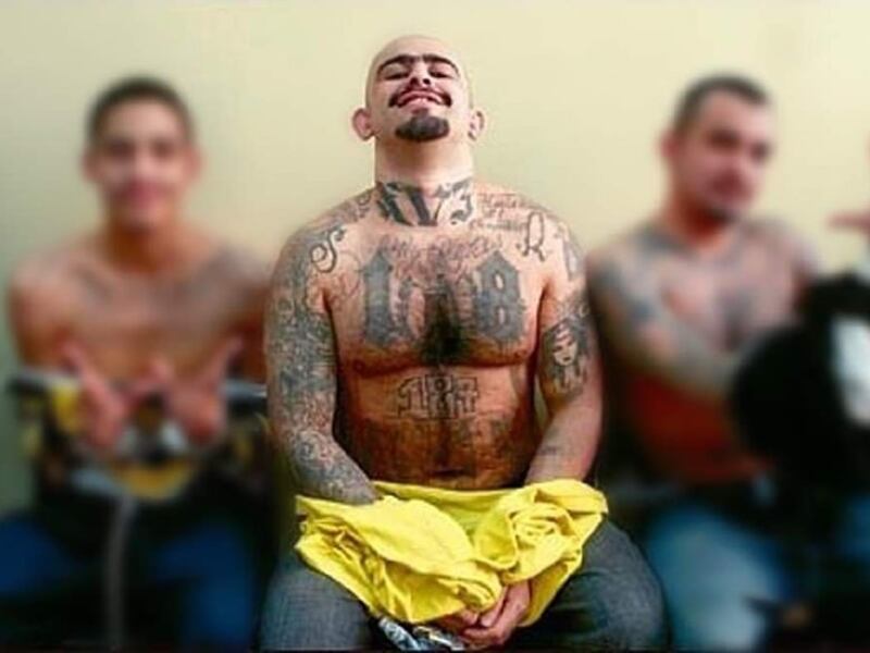 VIDEO. Expandillero revela detalles que la dan un nuevo giro al crimen de Farruko Pop