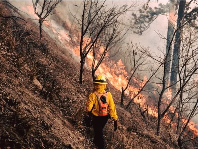 Conred reporta que 46 incendios se registran en el departamento de Petén.