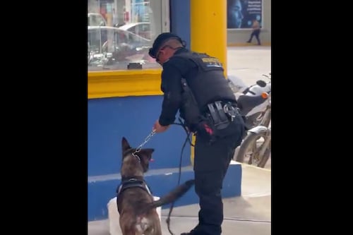 Capturan a sospechoso por transportar encomienda con marihuana en Izabal