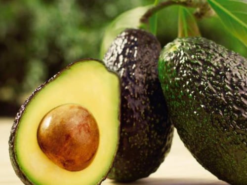 Sector aguacatero de Guatemala busca transformar su competitividad y aumentar exportaciones