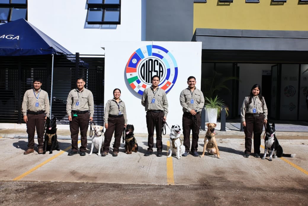 ¡Por primera vez! Guatemala contará con guías caninos para la protección agropecuaria