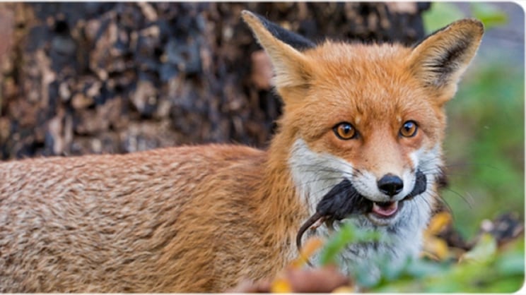 (Foto: Redes sociales)