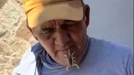 El video se ha vuelto viral. ¿Lo harías?