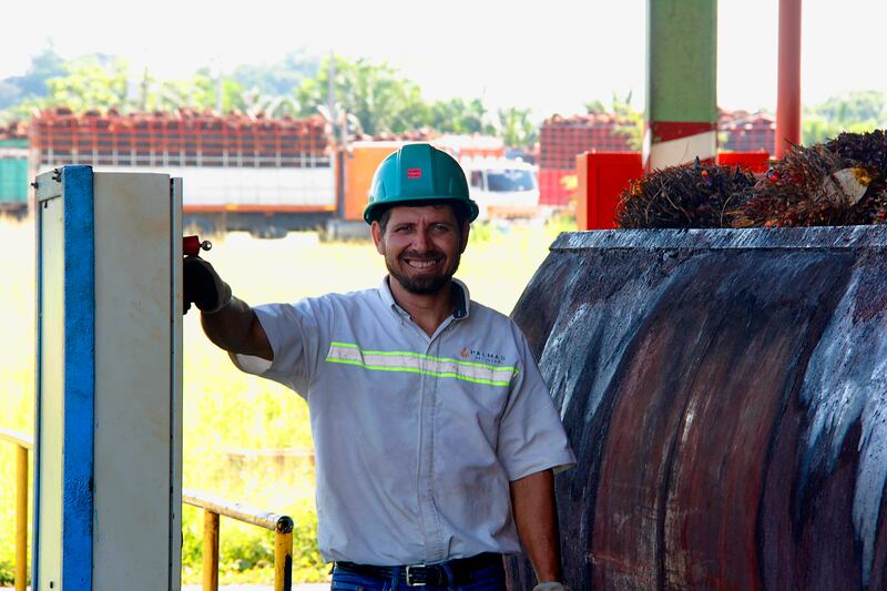 GREPALMA: compromiso con la conservación ambiental de Guatemala.