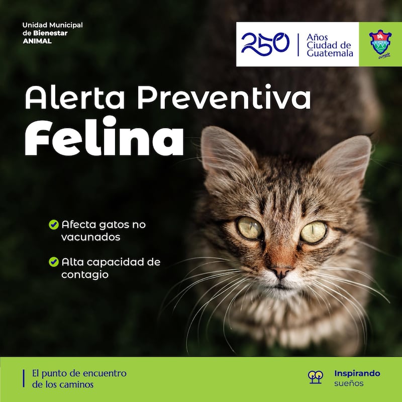 Foto: Bienestar Animal de Muniguate