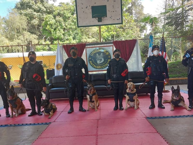 Seis agentes caninos antinarcóticos son despedidos con honores