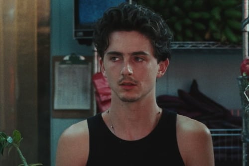 Timothée Chalamet protagoniza con Bad Bunny, Messi y otras estrellas un comercial para el Mundial