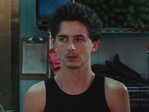 Timothée Chalamet protagoniza con Bad Bunny, Messi y otras estrellas un comercial para el Mundial