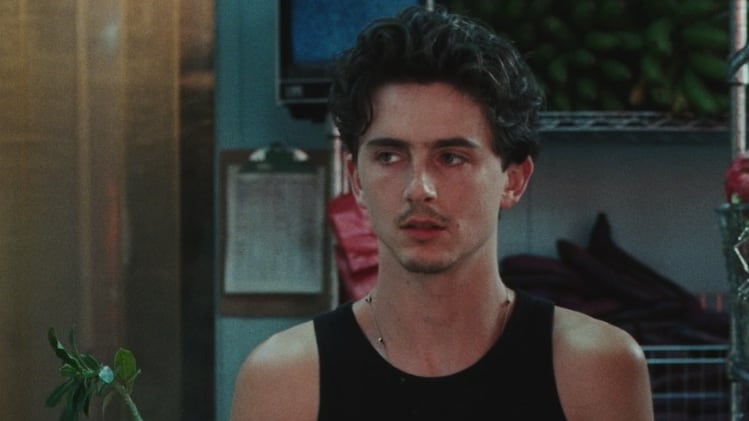 Timothée Chalamet romance exactriz cine adultos.