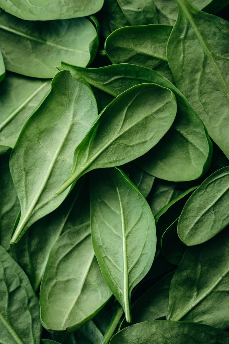 La digestión es importante porque el cuerpo necesita los nutrientes provenientes de los alimentos y bebidas para funcionar correctamente y mantenerse sano. Foto: Freepik.