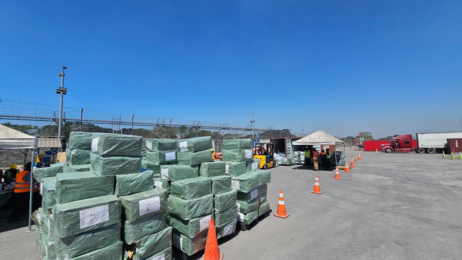 MP realiza allanamientos por denuncias de mercancía presuntamente falsificada. Foto: MP