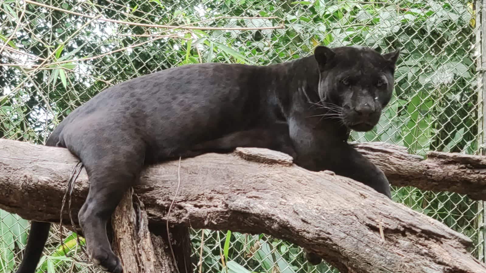 (Foto: Redes sociales)