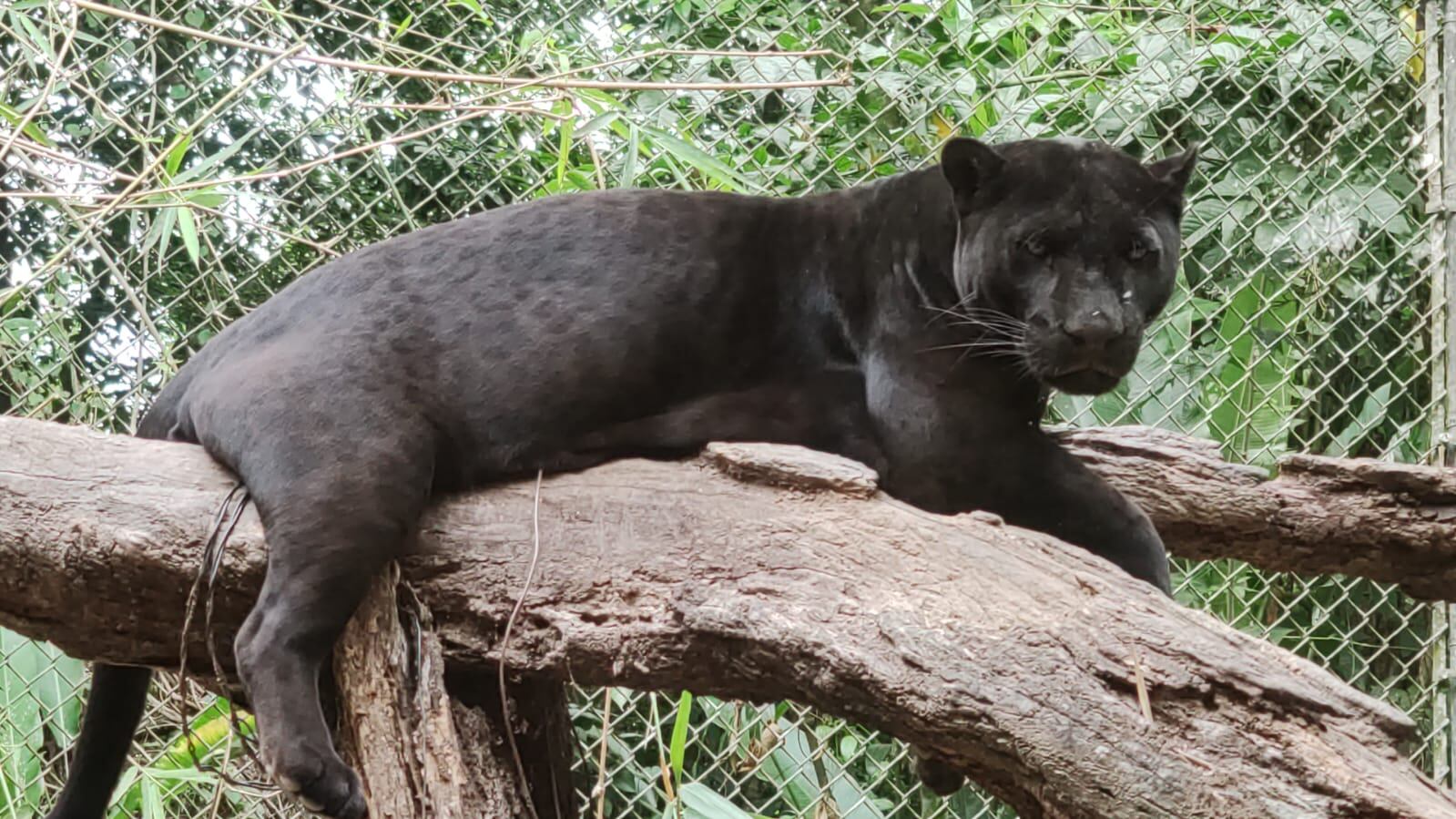 (Foto: Redes sociales)