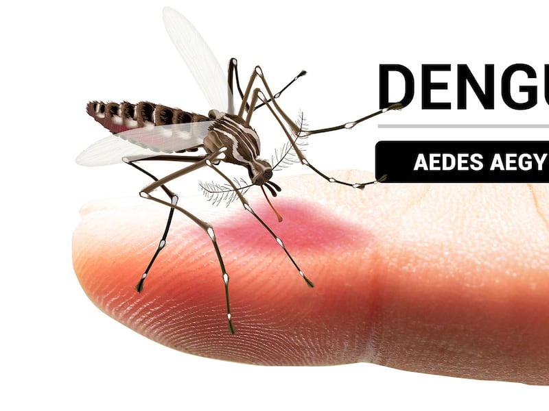 ¡Atención! Salud declara emergencia nacional por dengue