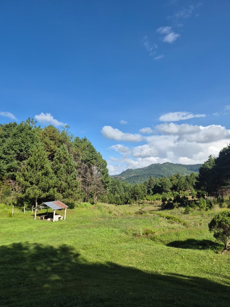 El Parque Caballo Blanco no solo se enfoca en el entretenimiento, sino también en promover el contacto directo con el entorno natural. Roxana Tocay
