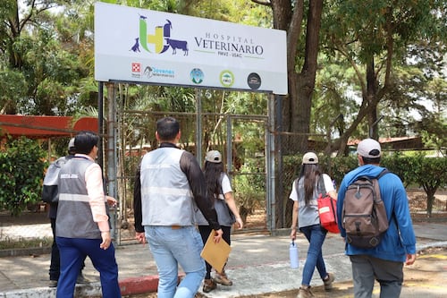 Verifican condiciones de animales en Hospital Veterinario de la USAC tras restricción de ingreso