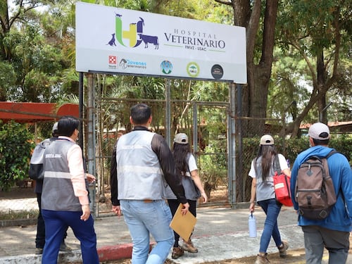 Verifican condiciones de animales en Hospital Veterinario de la USAC tras restricción de ingreso