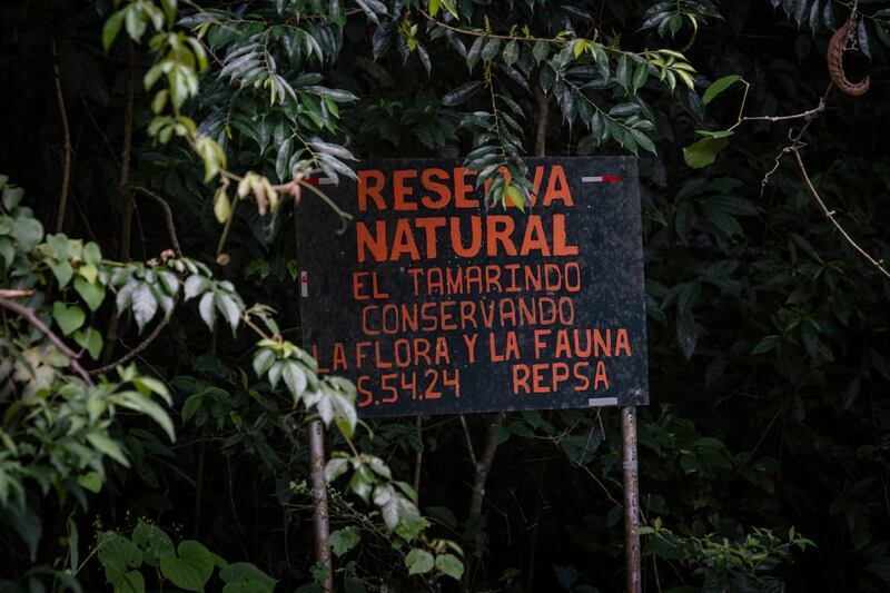 Evaluación de biodiversidad existente en el sistema de plantaciones de palma de aceite en Guatemala.