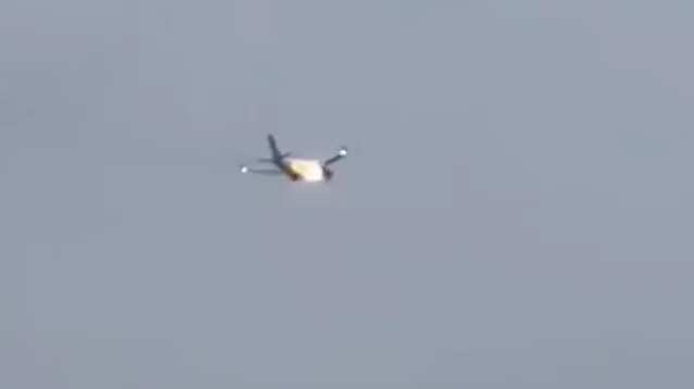 VIDEO. Animal es succionado por el motor de un avión