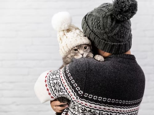 Consejos para cuidar a tus mascotas en época fría