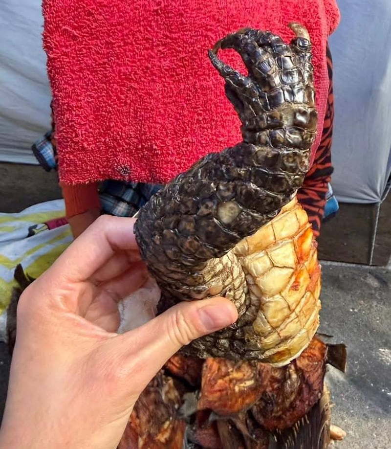 La venta de carne de animales silvestres es ilegal. Foto: Conap