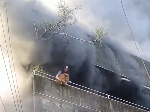 VIDEO. Mujer arriesgó su vida para salvar a sus mascotas de un voraz incendio en Filipinas