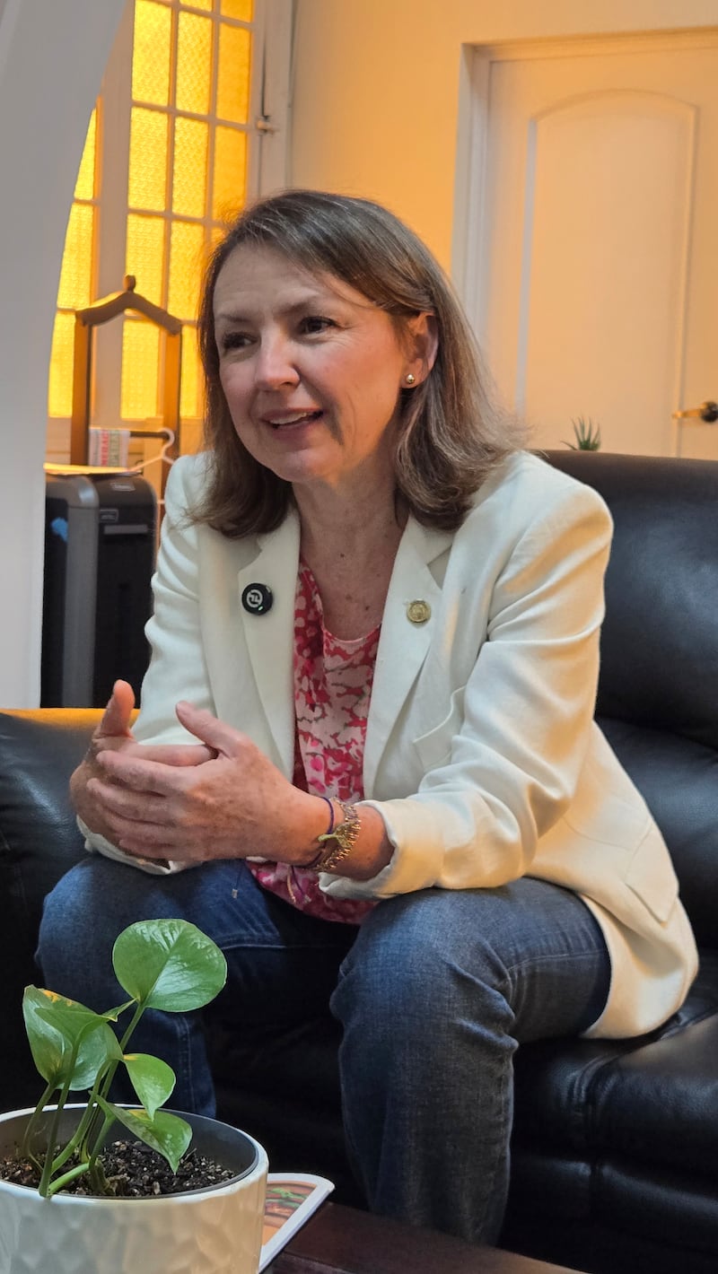 La ministra de Ambiente, señala que la Ley es una de las prioridades de su cartera, ya que desde años existe un vacío legal. Foto: Stanley Herrarte.