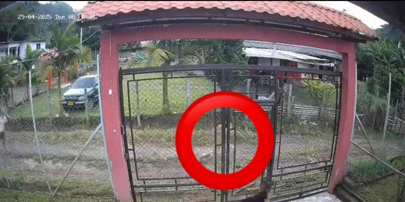Pastor es linchado en Colombia por grotesco crimen contra un menor ¿Qué fue lo que hizo?