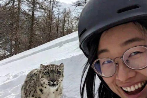 VIDEO. ¡Selfie sale mal! Esquiadora herida tras ser atacada por un leopardo de las nieves en China