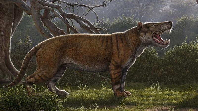 Un nuevo carnívoro gigante, descrito a partir de fósiles olvidados en un museo