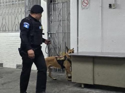 Mingob descarta amenaza de bomba y explica presencia preventiva de la PNC